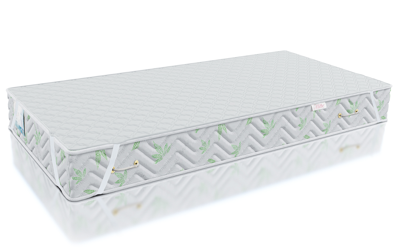 Alitte Protection kids